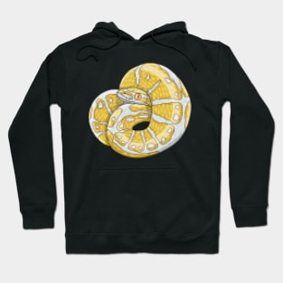 8bit albino ball python Hoodie